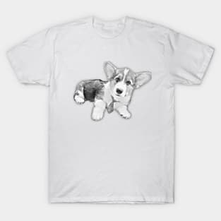 Pembroke Welsh Corgi Sleep Sketch T-Shirt